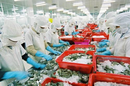 Seafood Exports in 2021: Need to Make a Difference for Export Products